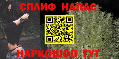 дживик Новозыбков