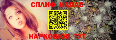 дживик Новозыбков