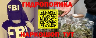гашик Обнинск