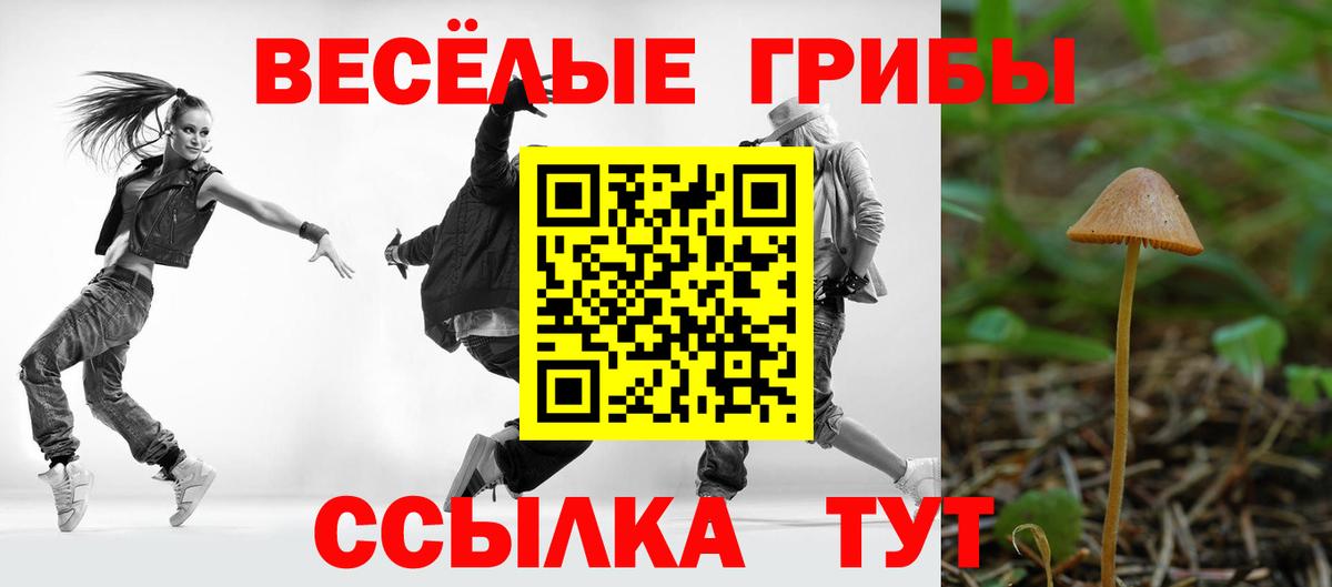 Псилоцибиновые грибы мицелий  Вход с VPN  Аргун  Псилоцибиновые грибы прущие грибы 
