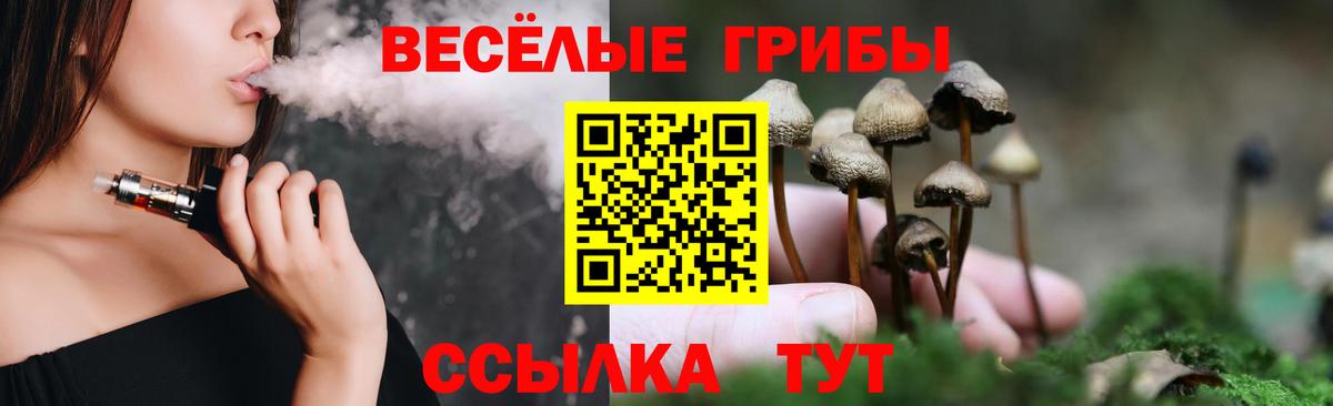 Галлюциногенные грибы Psilocybe Аргун